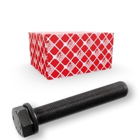 Achetez des Boulon de poulie FEBI BILSTEIN 17232 à prix pour 7,56 €