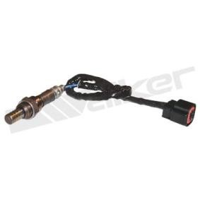 Compre Sonda lambda da WALKER PRODUCTS 350-34019 a um preço baixo por 49,41 €