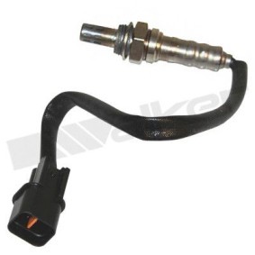 Lambdasonde von WALKER PRODUCTS 350-34481