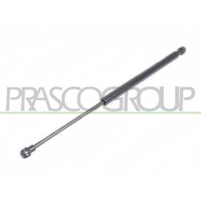 Achetez des Vérin de coffre PRASCO FT1249065 à prix pour 16,22 €