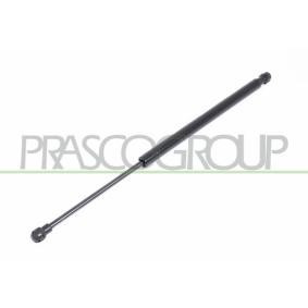 Heckklappendämpfer für VW von PRASCO