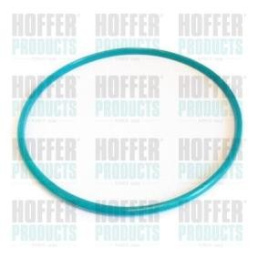 Compre Junta, sensor de nível de combustível da HOFFER GSK01 a um preço baixo por 12,14 €