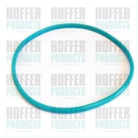 Compre Junta, sensor de nível de combustível da HOFFER GSK03 a um preço baixo por 15,38 €