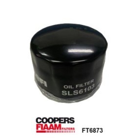 Achetez des Filtre à carburant COOPERSFIAAM FILTERS FT6873 à prix pour 16,93 €