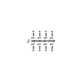 Acquista Kit albero a camme da FEBI BILSTEIN 18813 a buon mercato per soli 274,01 €