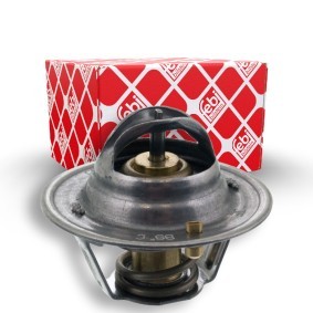 Kühlwasserthermostat 18973