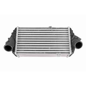 Comprar Intercooler de ACKOJA A52-60-0015 a bajo precio de 129,13 €