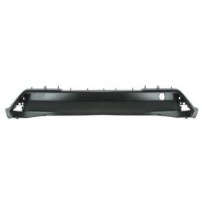 Achetez des Pare-choc arrière BLIC 5506-00-8195950P à prix pour 121,99 €