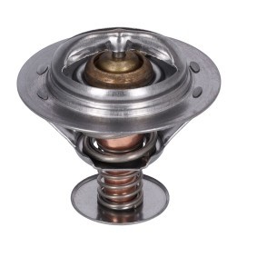 Kühlwasserthermostat für TOYOTA von FEBI BILSTEIN