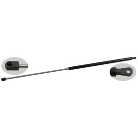 Acquista Ammortizzatore pneumatico cofano motore da FEBI BILSTEIN 25210 a buon mercato per soli 22,34 €