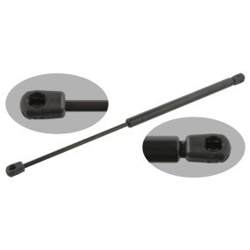 Heckklappendämpfer 25311 von FEBI BILSTEIN günstig für 28,20 € online kaufen