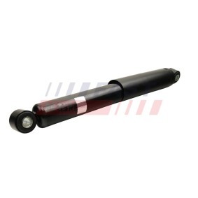 Stoßdämpfer FT11325