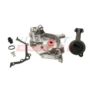 Achetez des Pompe à huile FAST FT38324 à prix pour 95,00 €