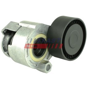 Achetez des Poulie renvoi / transmission, courroie trapézoïdale à nervures de chez FAST en ligne pour Strada Pick-up (278) à prix modérés