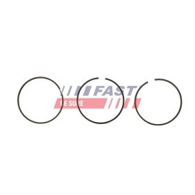 Dichtung, Zylinderkopfhaubenschrauben FT48302 FORD TRANSIT CUSTOM von FAST