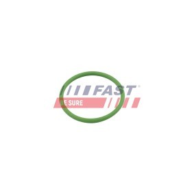 Dichtung, Turbineneinlass (Lader) von FAST