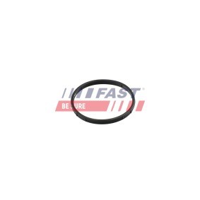 AGR-Ventil-Dichtung für VW von FAST