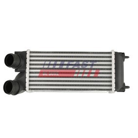 Acquista Scambiatore calore per riscaldamento abitacolo da FAST FT55538 a buon mercato per soli 60,45 €