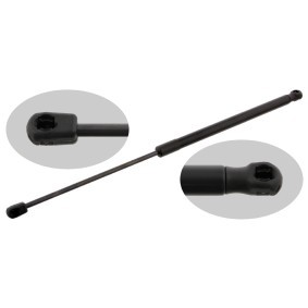 Acquista Ammortizzatore pneumatico cofano motore da FEBI BILSTEIN 27603 a buon mercato per soli 26,26 €