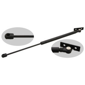 Köp Gasfjäder, motorhuv av FEBI BILSTEIN 27610 till det låga priset 363,01 kr