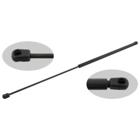 Köp Gasfjäder, motorhuv av FEBI BILSTEIN 27651 till det låga priset 380,88 kr