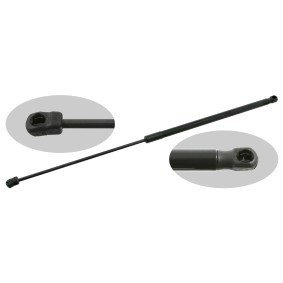 Acquista Ammortizzatore pneumatico cofano motore da FEBI BILSTEIN 27690 a buon mercato per soli 23,18 €