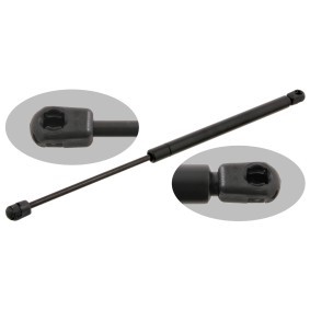 Heckklappendämpfer 27776 von FEBI BILSTEIN günstig für 21,00 € online kaufen