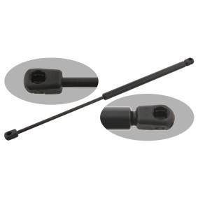 Acquista Ammortizzatore pneumatico cofano motore da FEBI BILSTEIN 29204 a buon mercato per soli 29,23 €