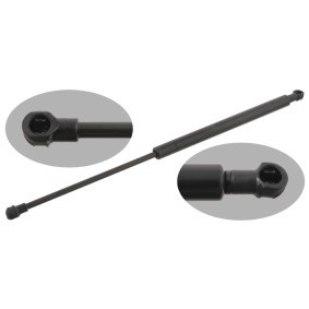 Acquista Ammortizzatore pneumatico cofano motore da FEBI BILSTEIN 29286 a buon mercato per soli 27,80 €