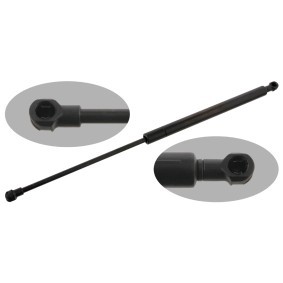 Achetez des Vérin de coffre FEBI BILSTEIN 29979 à prix pour 31,53 €