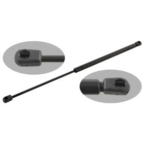 Heckklappendämpfer 31029 für RENAULT
