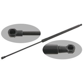 Achetez des Vérin de coffre FEBI BILSTEIN 31049 à prix pour 22,07 €