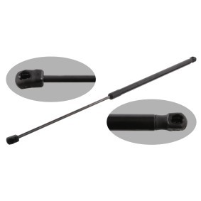 Acquista Ammortizzatore pneumatico cofano motore da FEBI BILSTEIN 31629 a buon mercato per soli 27,58 €