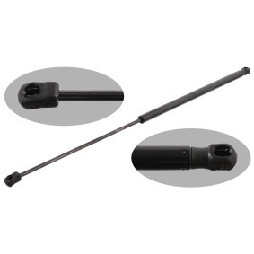 Köp Gasfjäder, motorhuv av FEBI BILSTEIN 31634 till det låga priset 362,26 kr