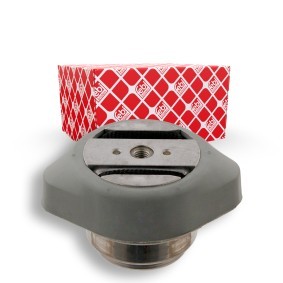 Achetez des Suspension, boîte automatique FEBI BILSTEIN 31980 à prix pour 49,48 €