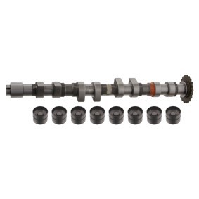 Acquista Kit albero a camme da FEBI BILSTEIN 33199 a buon mercato per soli 264,54 €
