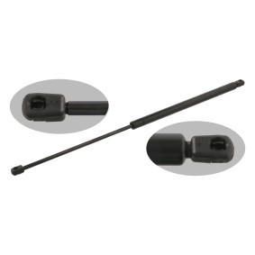 Köp Gasfjäder till baklucka av FEBI BILSTEIN 34433 till det låga priset 273,83 kr