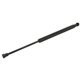 Køb Bagklapsdæmper af FEBI BILSTEIN 34438 til den lave pris 370,55 DKK