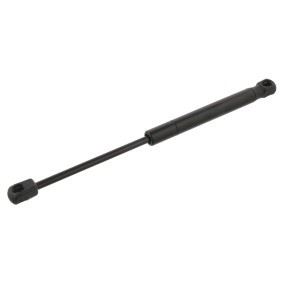 Köp Gasfjäder till baklucka av FEBI BILSTEIN 34448 till det låga priset 347,56 kr