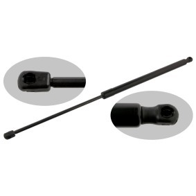 Achetez des Vérin de coffre FEBI BILSTEIN 36249 à prix pour 93,07 €