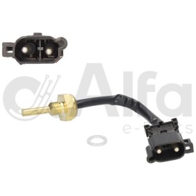 Sensor, Zylinderkopftemperatur AF05197