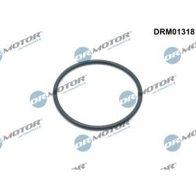 Osta Tiiviste, öljynsuodatimen kotelo DR.MOTOR AUTOMOTIVE:llä DRM01318 edullisesti hintaan 7,53 €