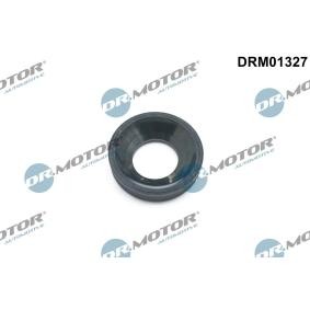 Köp Tätning, munstyckshållare av DR.MOTOR AUTOMOTIVE DRM01327 till det låga priset 96,34 kr