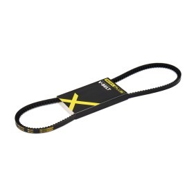 Achetez des Courroie trapézoïdale de chez RIDEX PLUS en ligne pour PAJERO CLASSIC (V2_W) à prix modérés