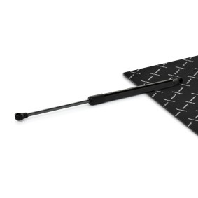 Köp Gasfjäder till baklucka av RIDEX 219G1169 till det låga priset 270,73 kr