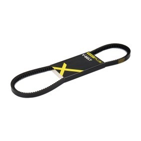 Achetez des Courroie trapézoïdale de chez RIDEX PLUS en ligne pour L 400 Camionnette (PD_W, PC_W, PB_V, PA_W, PA_V) à prix modérés