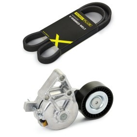 Achetez des Jeu de courroies trapézoïdales à nervures RIDEX PLUS 542R0004P à prix pour 65,48 €