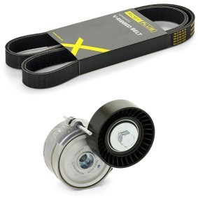 Achetez des Jeu de courroies trapézoïdales à nervures RIDEX PLUS 542R0025P à prix pour 48,90 €