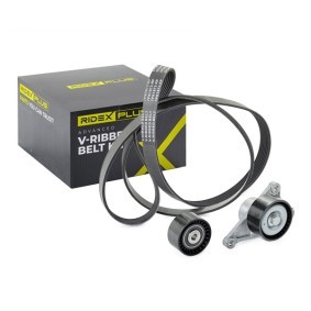 Achetez des Jeu de courroies trapézoïdales à nervures RIDEX PLUS 542R0022P à prix pour 90,88 €