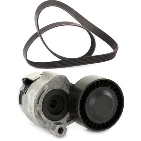 Achetez des Jeu de courroies trapézoïdales à nervures RIDEX PLUS 542R0553P à prix pour 54,61 €